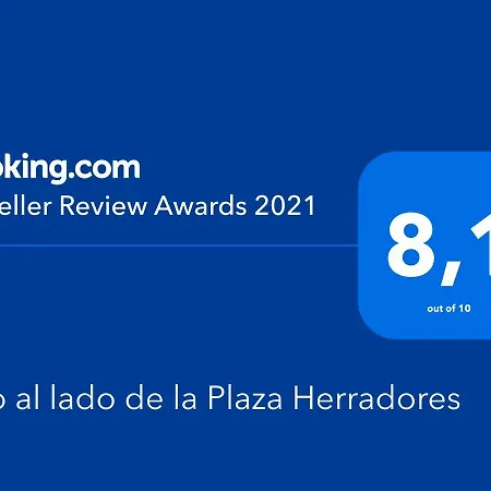 Apartment Piso Al Lado De La Plaza Herradores